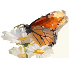 Schmetterling